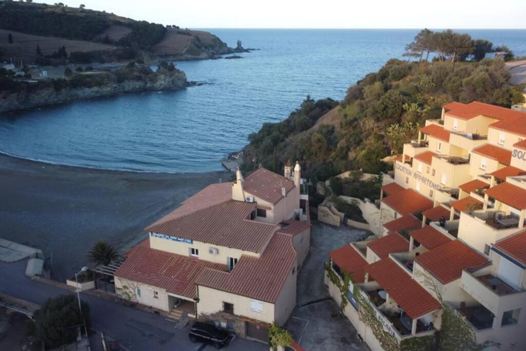 T3 Pieds Dans L'Eau Clim Wifi Terrasse Vue Mer Banyuls-sur-Mer Exterior photo